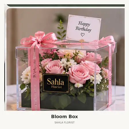 Bloom Box Serang Baru